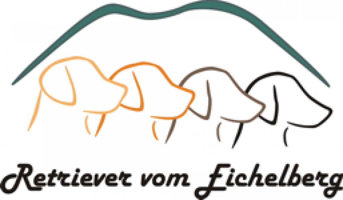 Tierphysiotherapie